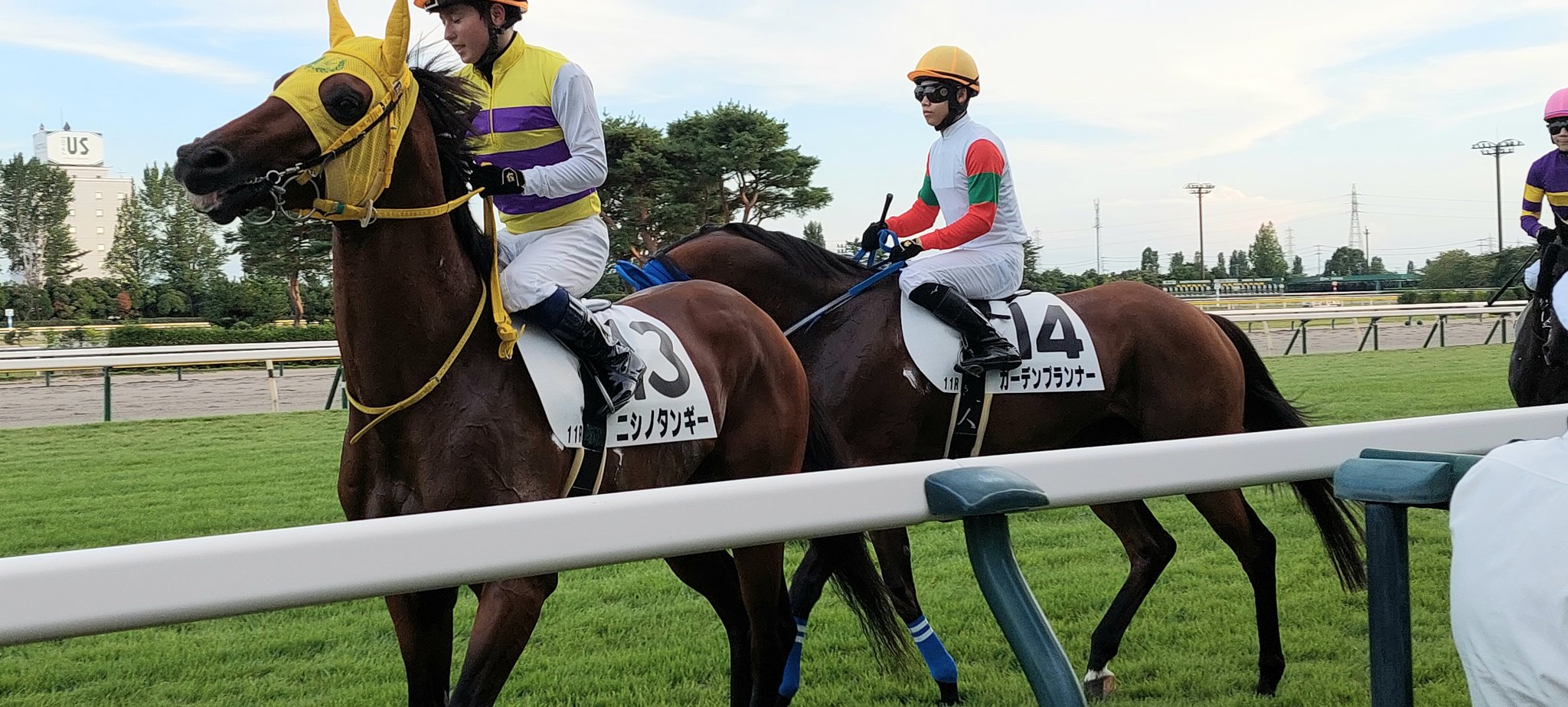 アリス🏇🎮️ on X: 
