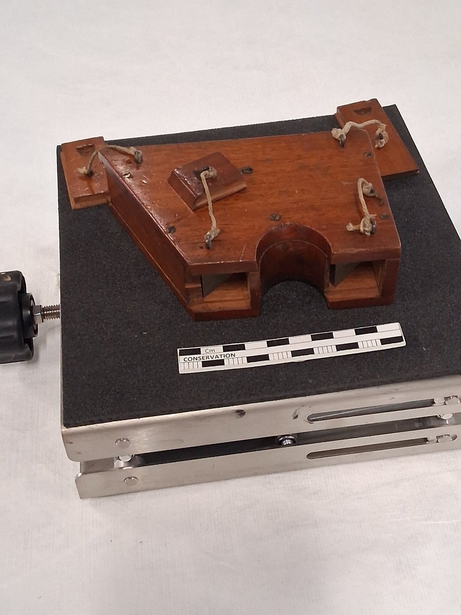 Bill Ward tweet media