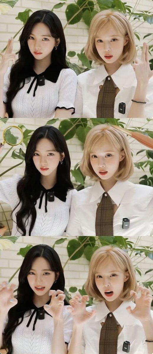 i miss my Jiminjeong maltese team