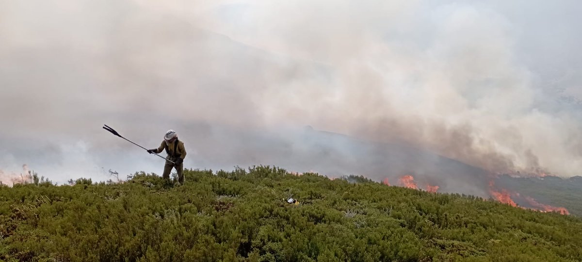 A todos estes cuñados que din "donde están ahora los ecologistas" convídolles a que se veñan conmigo no coche a ver onde están os ecoloxistas, xente coma este da foto pelexando contra o Lume en Trevinca, ou outros en Casaio, Laza, etc

Os que o din iso si, sentadiños na casa