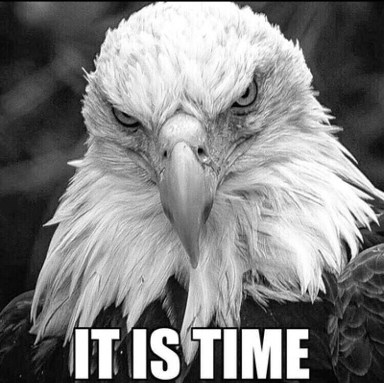 Eileen Bridget🌸 (@x4eileen) on Twitter photo <a href="/Bagel69er/">🇺🇸🇺🇸🇺🇸Bagel Colorado❤️🤍💙</a> <a href="/V_Lady2024/">𝐿𝒶𝒹𝓎 𝒱 🥀</a> <a href="/BsBabe02/">Juliette🌷</a> <a href="/cinrui/">𝑺𝒎𝒂𝒓𝒕𝒂𝒔𝒔 𝑩𝒓𝒖𝒏𝒆𝒕𝒕𝒆™ 🇺🇸🇬🇧</a> <a href="/Pixie1z/">ƤƖҲƖЄ</a> <a href="/marinamillern/">marinamillern</a> <a href="/BFes56/">🇺🇸BIGGEST🗳CAT🇺🇸</a> <a href="/SheriHerman19/">Sheri Herman</a> <a href="/southgrace427/">Southern Grace 🔥✨</a> <a href="/DannyMack100/">DannyMacK💯</a> <a href="/Qu33nB57/">👸Queen B 57 🐝</a> <a href="/InjunJoe27/">joe reyes</a> <a href="/Hikergirl84/">Shield~Maiden™ MSN, RN, IBCLC, RLC</a> <a href="/brindleh/">Marcy</a> <a href="/45Gigi24/">Gigi</a> <a href="/lilacheather30/">M̆̈ŏ̈r̆̈ğ̈ă̈n̆̈🪻L̾i̾l̾i̾c̾H̾e̾a̾t̾h̾e̾r̾ 🫦🪻</a> <a href="/wildangel1968/">Texas Angel ❤💜❤💜❤</a> <a href="/Karrasamelia5/">Amelia</a> Thank you, Luv 🩷🌸🩷 <a href="/Bagel69er/">🇺🇸🇺🇸🇺🇸Bagel Colorado❤️🤍💙</a> <a href="/V_Lady2024/">𝐿𝒶𝒹𝓎 𝒱 🥀</a> <a href="/BsBabe02/">Juliette🌷</a> <a href="/cinrui/">𝑺𝒎𝒂𝒓𝒕𝒂𝒔𝒔 𝑩𝒓𝒖𝒏𝒆𝒕𝒕𝒆™ 🇺🇸🇬🇧</a> <a href="/Pixie1z/">ƤƖҲƖЄ</a> <a href="/marinamillern/">marinamillern</a> <a href="/BFes56/">🇺🇸BIGGEST🗳CAT🇺🇸</a> <a href="/SheriHerman19/">Sheri Herman</a> <a href="/southgrace427/">Southern Grace 🔥✨</a> <a href="/DannyMack100/">DannyMacK💯</a> <a href="/Qu33nB57/">👸Queen B 57 🐝</a> <a href="/InjunJoe27/">joe reyes</a> <a href="/Hikergirl84/">Shield~Maiden™ MSN, RN, IBCLC, RLC</a> <a href="/brindleh/">Marcy</a> <a href="/45Gigi24/">Gigi</a> <a href="/lilacheather30/">M̆̈ŏ̈r̆̈ğ̈ă̈n̆̈🪻L̾i̾l̾i̾c̾H̾e̾a̾t̾h̾e̾r̾ 🫦🪻</a> <a href="/wildangel1968/">Texas Angel ❤💜❤💜❤</a> <a href="/Karrasamelia5/">Amelia</a> Thank you, Luv 🩷🌸🩷