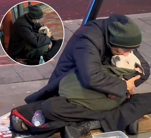 Un sans-abri a captivé l'attention de milliers de personnes, non pas pour ses supplications, mais pour la façon dont il berce son chien chaque soir. 
#chien #sain #chiens #amoureuxdeschiens