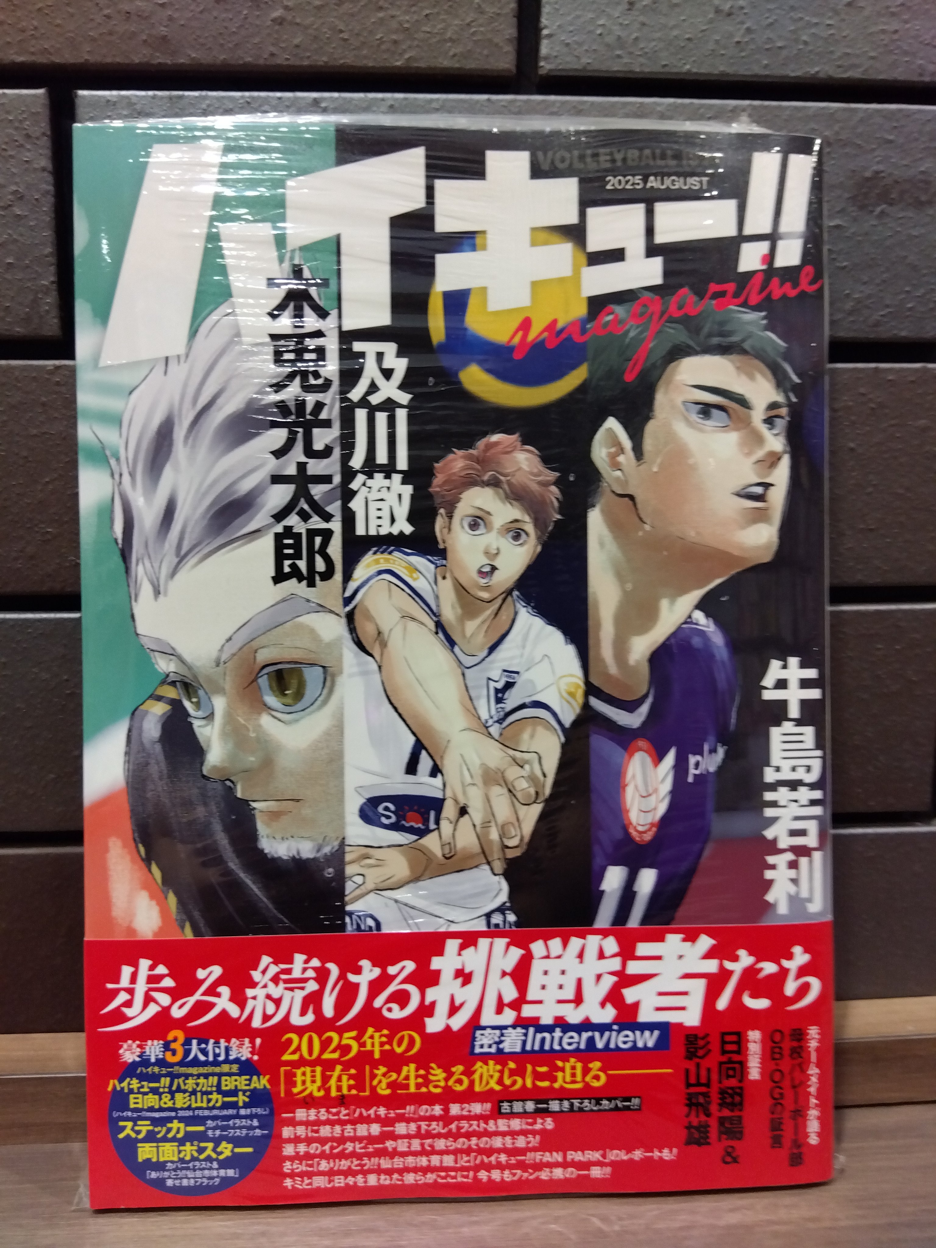 集英社 - ハイキュー!!全巻+ポスター ハイキュー!! magazine 2025 AUGUST／古舘 春一 | 集英社