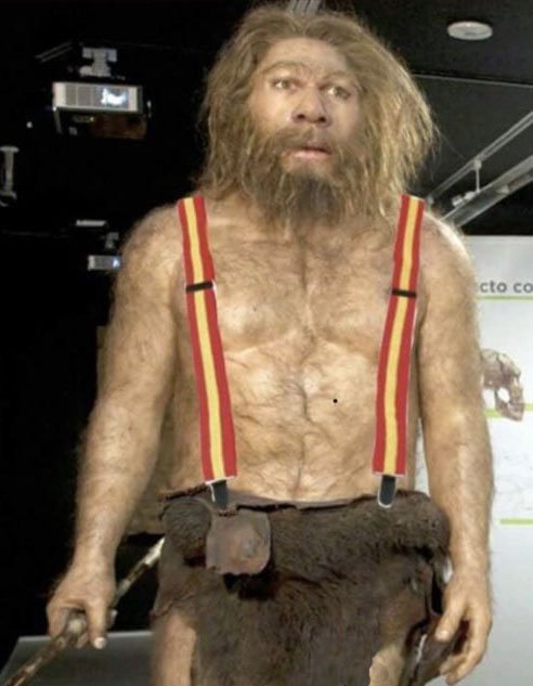 Y agora que lenzeñamo alo shavale?
"Suspendido el despiece de animales de caza en aulas de primaria extremeñas"
eldiario.es/extremadura/ed…