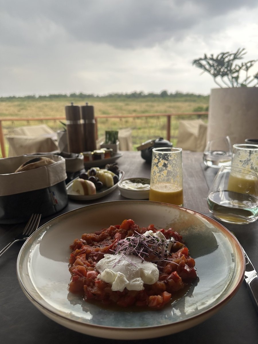 【ホテル開業日に行くシリーズ】
#TheRitzCarltonMasaiMaraCamp
2025.8.15
🇰🇪ケニア・マサイマラ国立保護区に、オールインクルーシィヴのリッツ・カールトンがオープン‼️

こちらのホテルでは、有償泊、ポイント泊を問わず、以下を無料で提供しています🏨

☀️フルボードでの食事