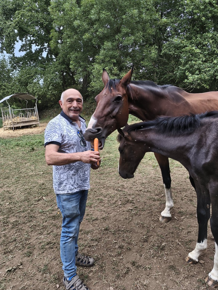 ToniMorenoRey tweet media