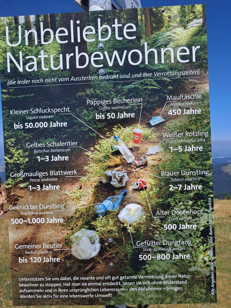 Hoeveel van deze 'natuurbewoners' kom jij tegen op vakantie of bij je dagelijkse ommetje?