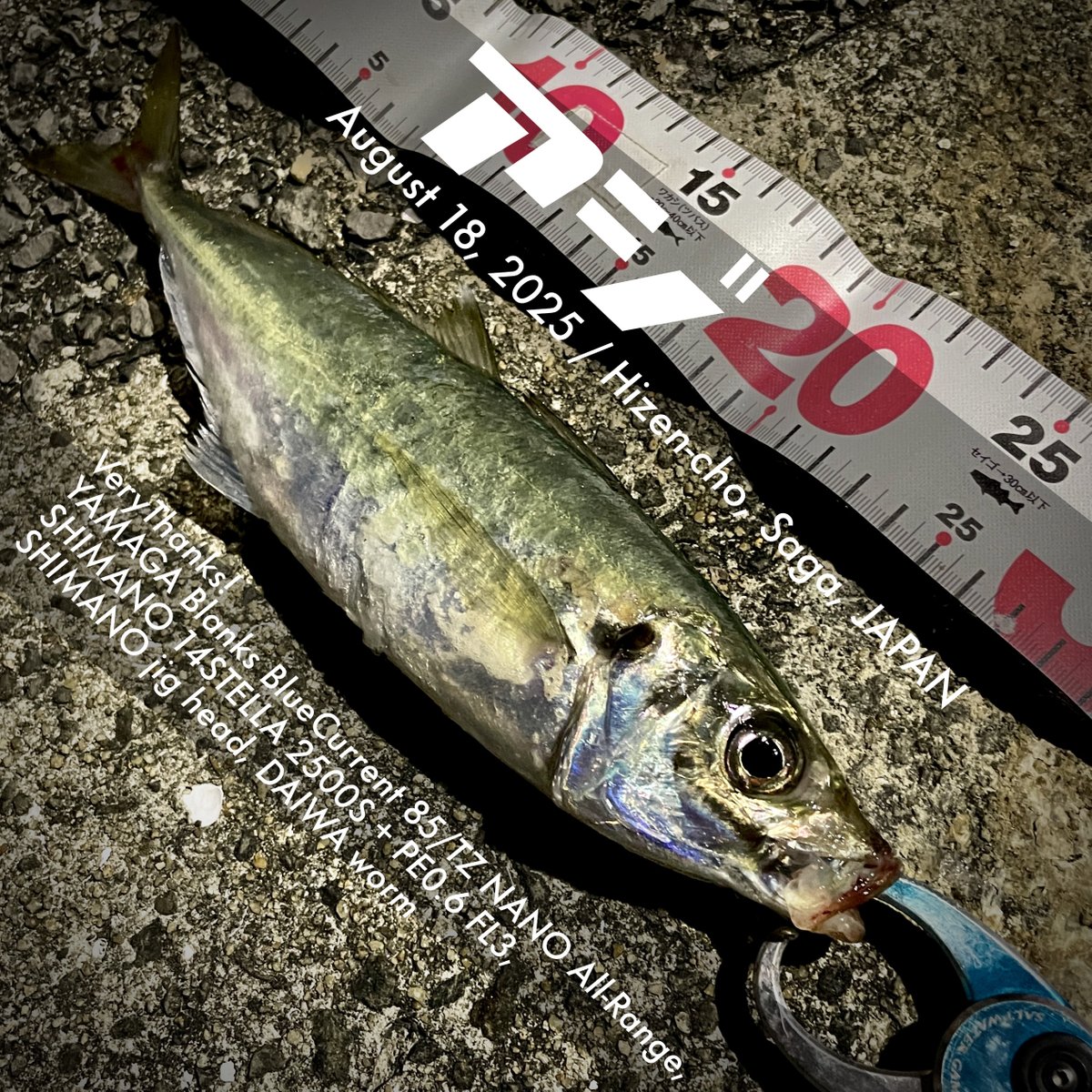 ooshima_'s tweet photo. たまにアジング🙂🎣 https://t.co/p7IRGCY4VV
