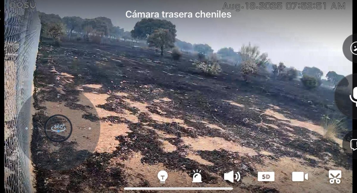 Fer Alcalá 👁 🏳️🌈 🍏 (@feralcala_s) on Twitter photo Llamamiento‼️
🐶
#Caceres #IncendiosForestalesEspana #Extremadura
🐈⬛
Soy miembro de ACDA <a href="/Protectora_CC/">Protectora Cáceres</a> y necesitamos un container marítimo o un contenedor de obra que nos sirva de almacén. El #Incendio de Aliseda casi ha llegado al albergue.
🐩
¿Alguna idea? ¿Ayuda? ¿Compartís? Llamamiento‼️
🐶
#Caceres #IncendiosForestalesEspana #Extremadura
🐈⬛
Soy miembro de ACDA <a href="/Protectora_CC/">Protectora Cáceres</a> y necesitamos un container marítimo o un contenedor de obra que nos sirva de almacén. El #Incendio de Aliseda casi ha llegado al albergue.
🐩
¿Alguna idea? ¿Ayuda? ¿Compartís?