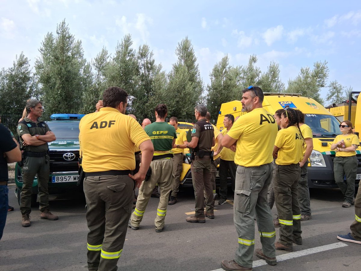 Salvador Illa Roca tweet media