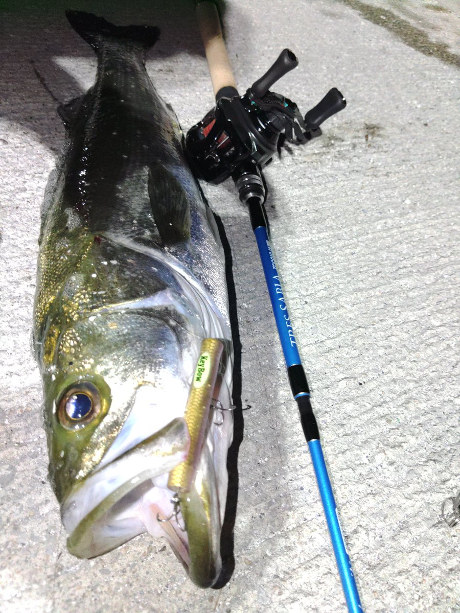 tyouraku708's tweet photo. ヤッバッ‼️
Keybow投げて遊びよったらエグいサイズ食ってきた～‼️

#インクスレーベル
#INXlabel　#Keybow
#サビアTC  #IRCT https://t.co/jO6efSQd9t