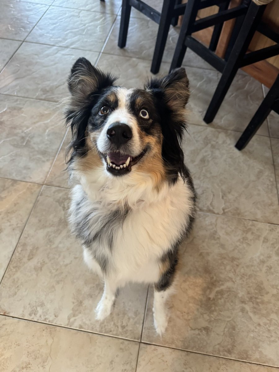 ItsJustTop's tweet image. Have a random photo dump for now