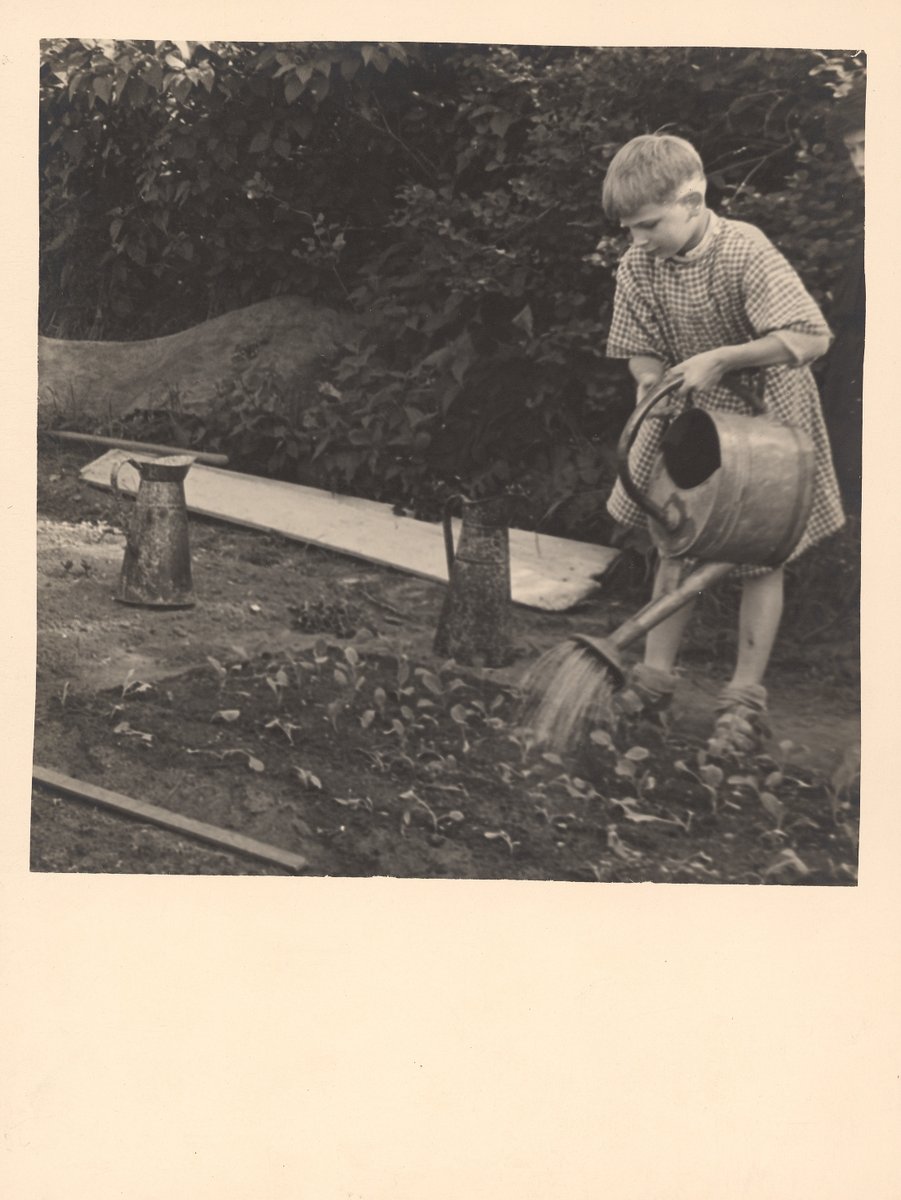 En cette journée mondiale de la photo, zoom sur un fonds de photos de l'école de plein air à Luzancy prises par son directeur M. Jabiol acquis en 2023 par le Munaé et valorisé ds le livre "+ Photographie - les acquisitions des collections publiques" du <a href="/MinistereCC/">Ministère de la Culture 🇫🇷</a> à paraître.