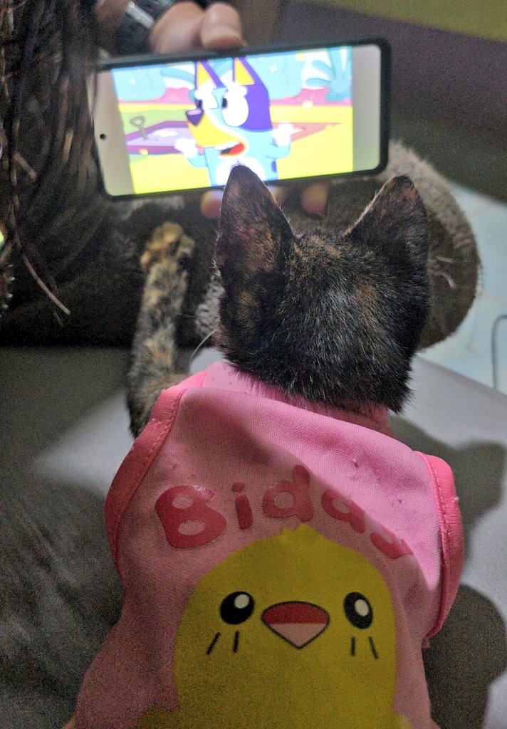 janniwithcat's tweet photo. ติดการ์ตูนแล้ว 1อัตรา 🤣🤣 https://t.co/lhZGsuV32G