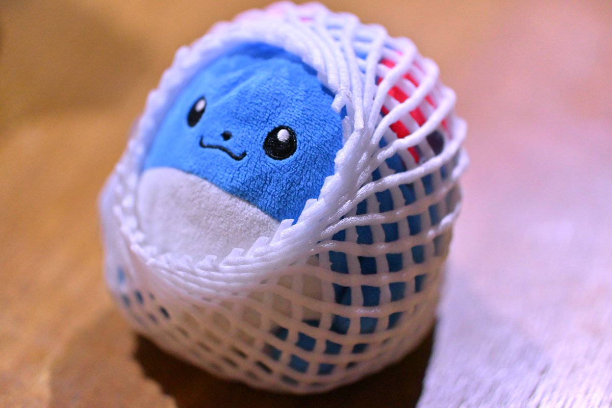 音子🔮 (@0t0ko) on Twitter photo 