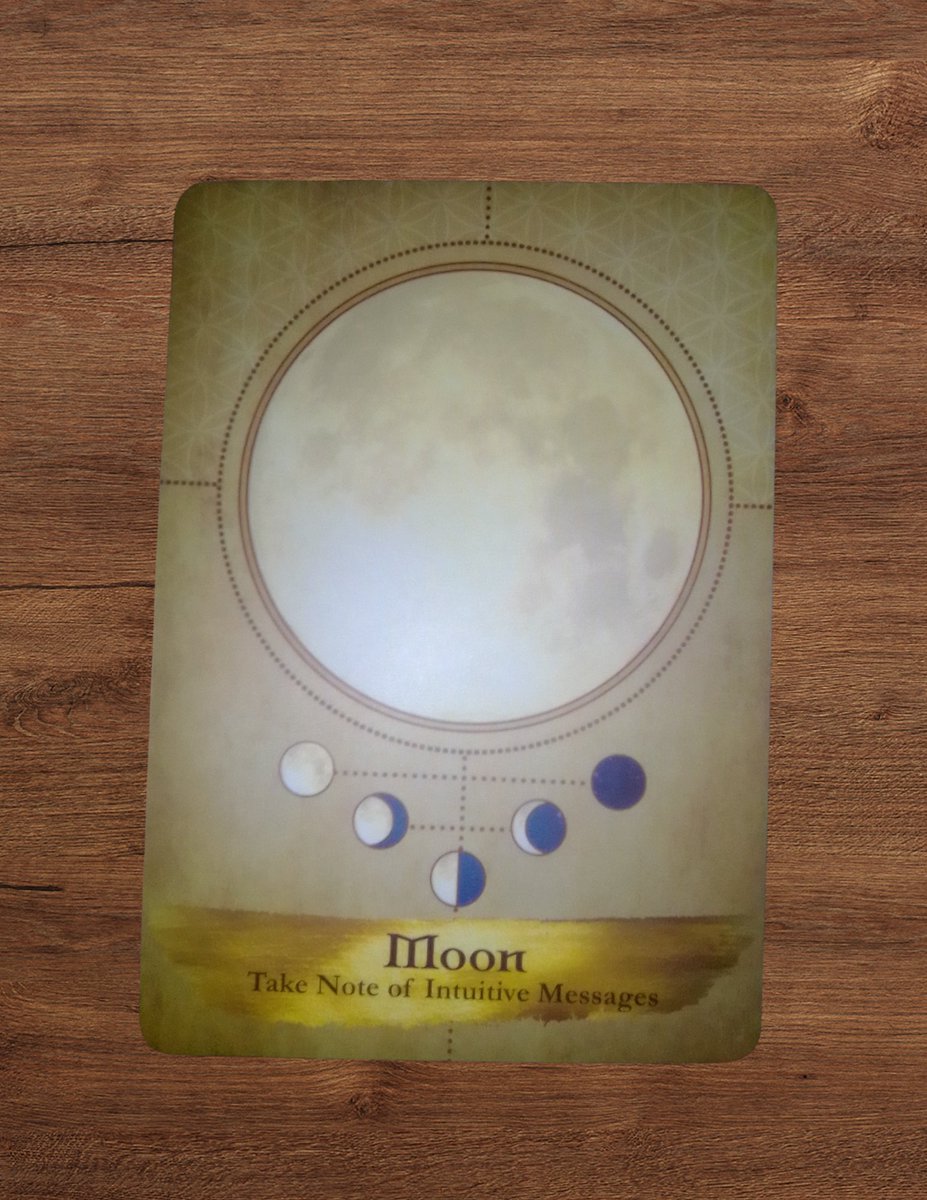 wendikehn's tweet photo. The Moon doesn’t lie, she reveals in shadows.
Today's card reminds us: something hidden is asking to be seen.
You already know.
Now it's time to trust that knowing.
💜 Read the full message:
https://t.co/RG7KTlIPgd
#Tarot #OracleCards #MoonCard #ShadowWork https://t.co/mANI0Y2Chu