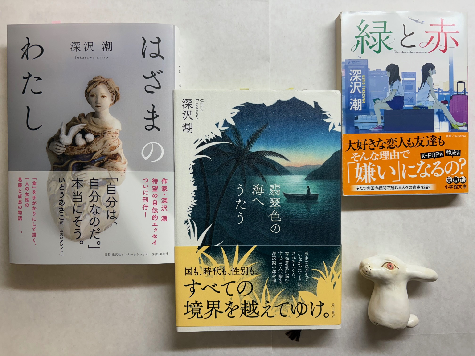 洋書◆琥珀の写真集 本 工芸品 洋書◇琥珀の写真集 本 工芸品 61o0fOWAHRL._AC_SY200_QL15_.jpg
