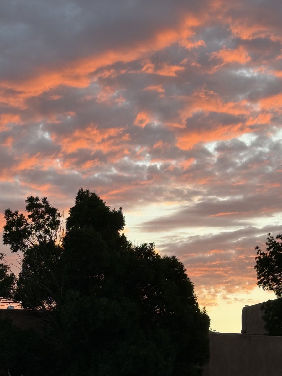 maci22009's tweet photo. Good morning everyone! What a beautiful sunrise wouldn’t you agree? 🙏😇🦋 https://t.co/1YkiQP7b0n
