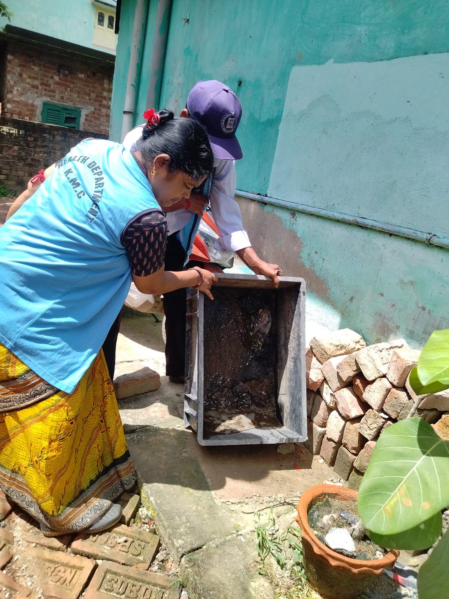 kmc_kolkata's tweet image. A few pictures of the frontline workers of the Vector Control Team on duty across the city.

#VectorControlByKMC #KMConDuty