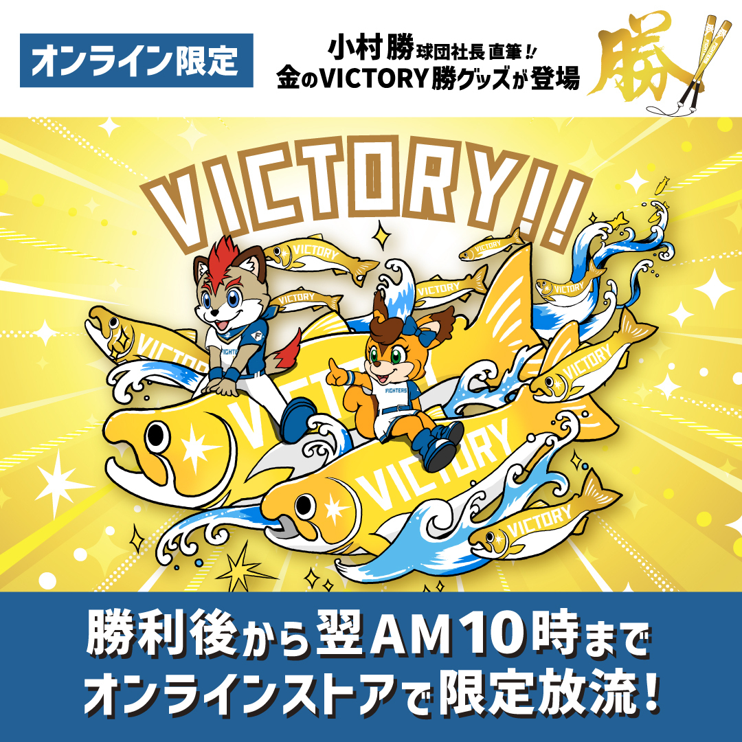 ！期間限定！(旧ロゴ)非売品！日本ハムファイターズ応援旗！ 期間限定！(旧ロゴ)非売品！日本ハムファイターズ応援旗！ 期間