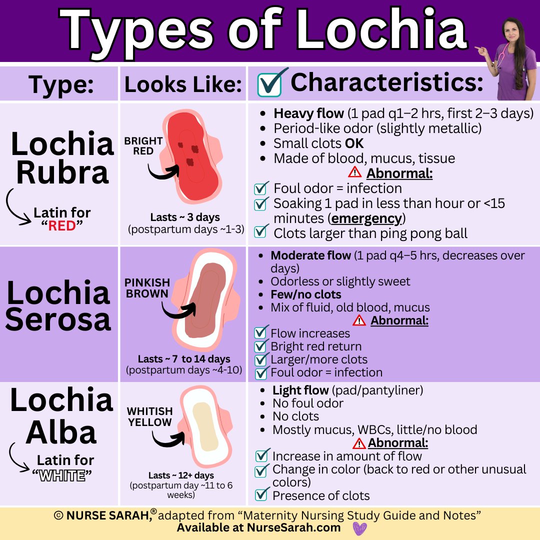 NursesRN's tweet image. Types of lochia made simple for maternity nursing review: lochia rubra vs lochia serosa vs lochia alba.
#maternity #nursing #nclex #nursingschool