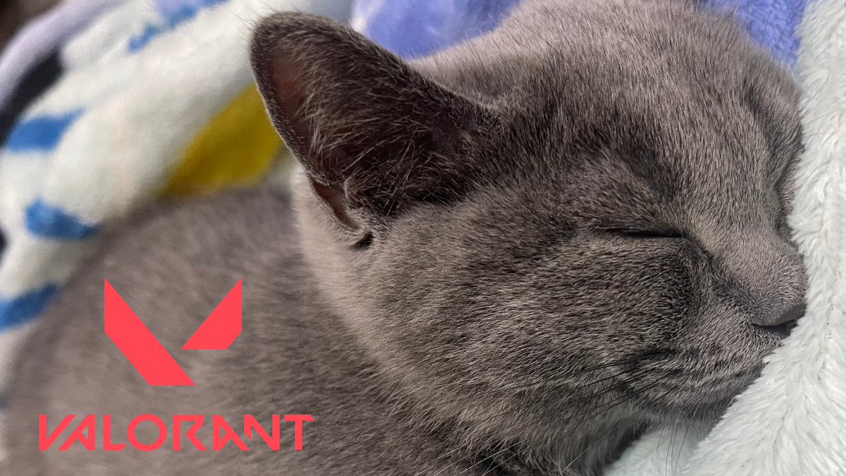 💜【VALORANT】Hi ..
💛Date: 19/8/2025 (TODAY !)  
💚Time:HKT 9:30pm / GMT 11:30am  
🤍Link:youtube.com/live/iCuSLLsmM…

#Edana_Simba_Live #擴散希望  #VALORANT募集 #VALORANT #VALORANT女子