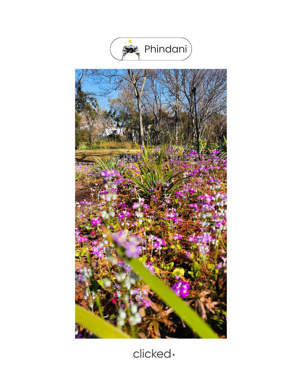 clickeddigital's tweet image. For World Photo Day, the clicked team is trading pixels for bragging rights. 📸 Who’s got the winning shot? 

#WorldPhotoDay #ClickedTeam #SnapChallenge #ThroughOurLens #FunAtWork