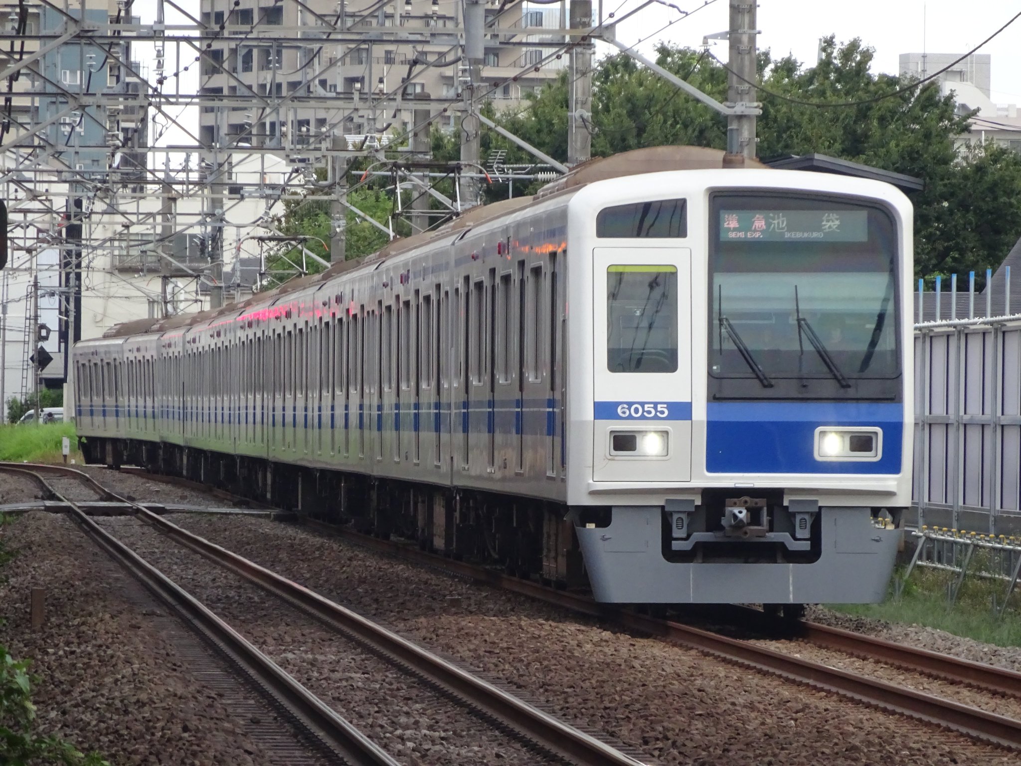 極上　本津軽　三味線　大バチ　200g トヒト　東さ7-0501⭐︎2F 極上 本津軽 三味線 大バチ 200g トヒト 東さ7-0501⭐︎2F