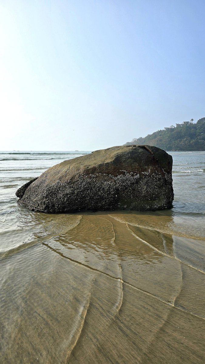 Have a Rocking Tuesday!
Let's see your shots 🪨🤘