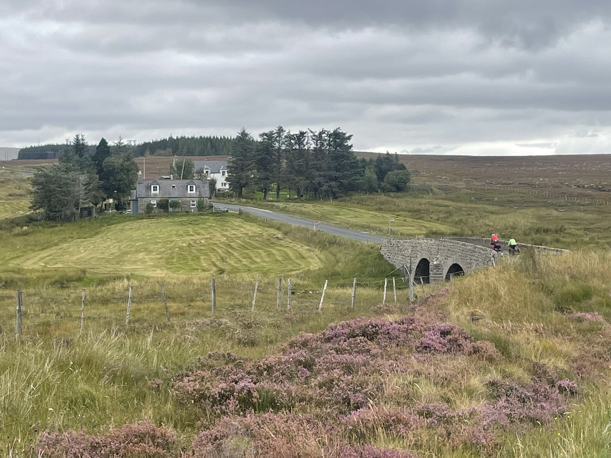 Anna Hughes tweet media