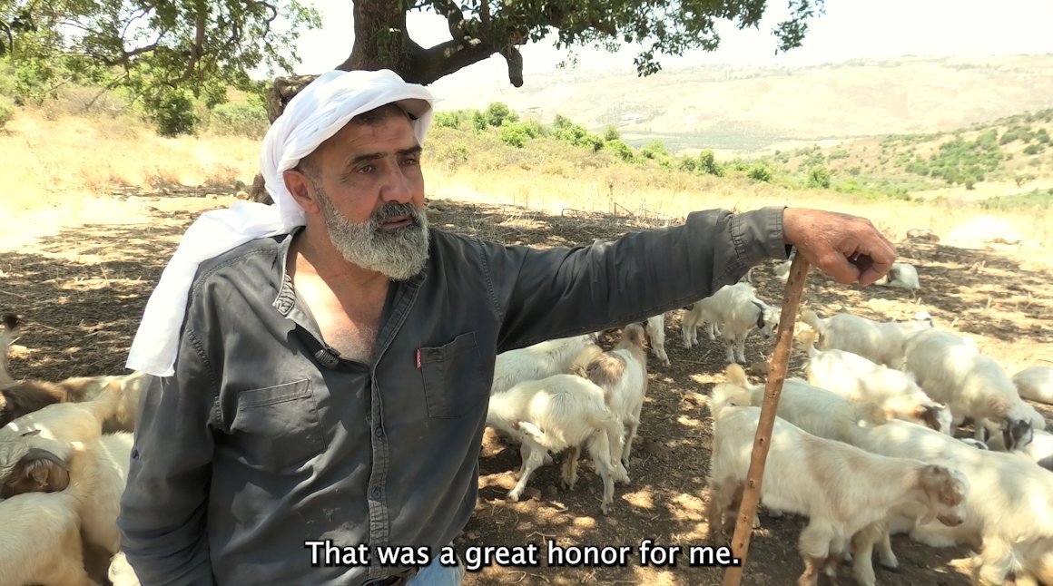 loffredojeremy's tweet image. 