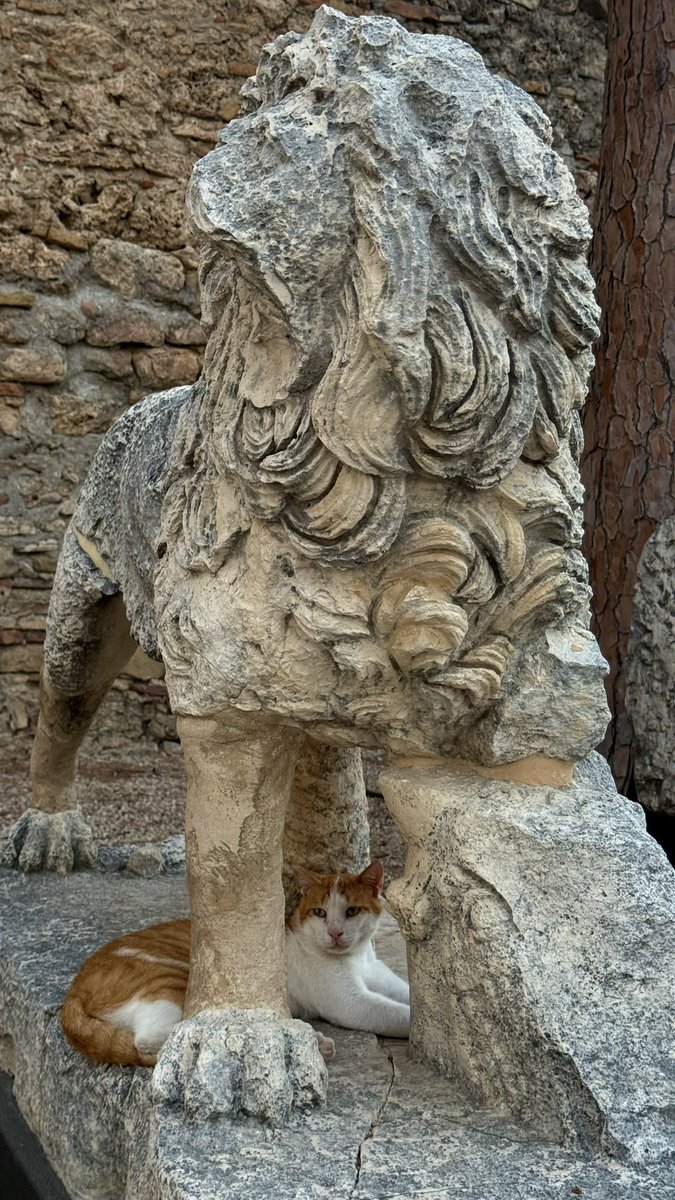 Side Antik Kenti'nde görülen Pissus Anticus'lar 😻