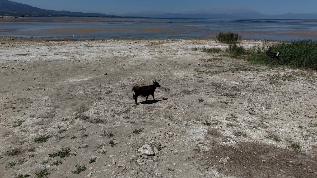 aykiricomtr's tweet image. Türkiye’nin en büyük tatlı su gölü olan Beyşehir Gölü’nün son hali…