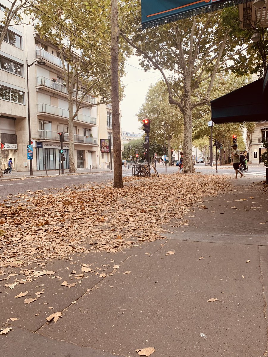 🇫🇷Looks autumn in Paris…🏃‍♂️🏃‍♂️🏃‍♂️