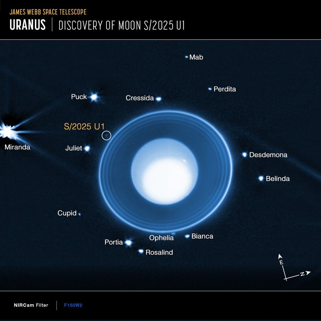 I spy with JWST’s golden eye, a possible new moon for Uranus in the night sky. ✨

NASA’s James Webb Space Telescope has spotted a tiny world only six miles (10 km) across. Too faint for Voyager 2 or Hubble to catch, this little moon hid in plain sight until Webb’s sharp gaze