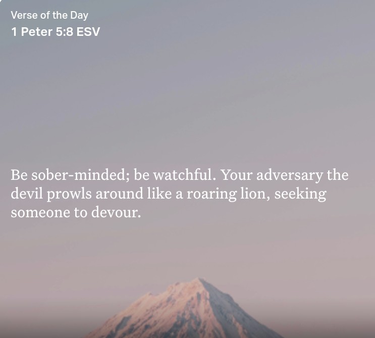 Peanut Butter Box is Here (@pbboxishere) on Twitter photo Verse of the Day ✝️ Verse of the Day ✝️