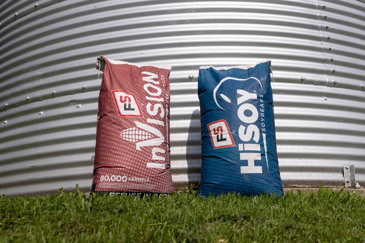FSCooperatives's tweet image. Don&apos;t wait to secure your #FSInVISION hybrids and #FSHiSOY varieties - proven to perform on your acres. Talk to your local FS Crop Specialist to lock in your line up!