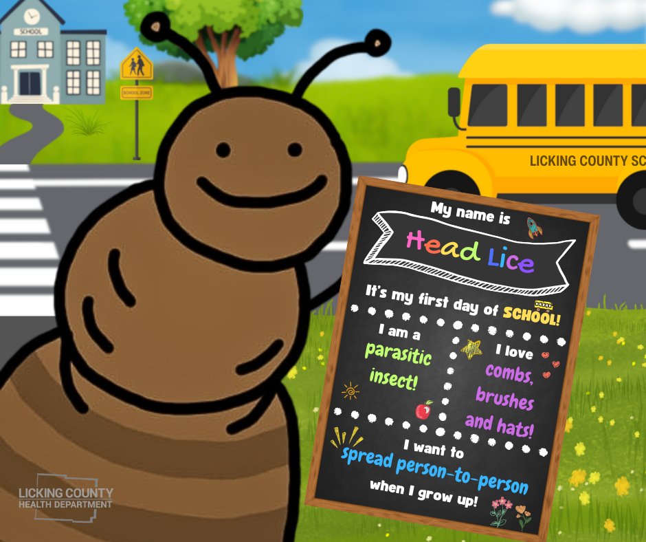 ❓ Did you know ❓

➡️ Pediculus humanus capitis, also known as head lice, are parasitic insects that feed on human blood. Adults are about the size of a poppy seed!
➡️ The most common symptom of head lice infestation is itching. Although, not every person will experience