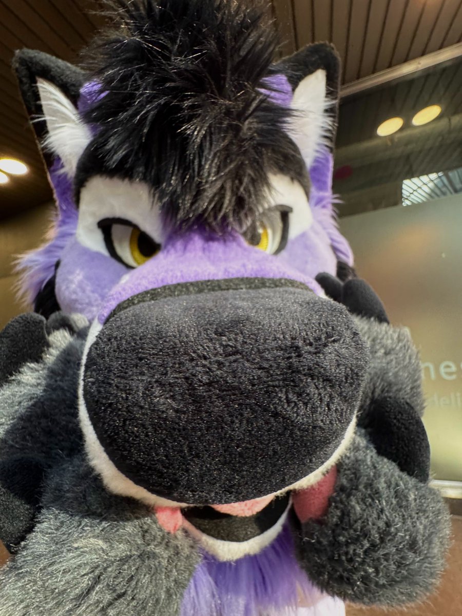 I showed you my schnoz, pls respond 🥺

📸 <a href="/BayerShep/">Bayer</a>