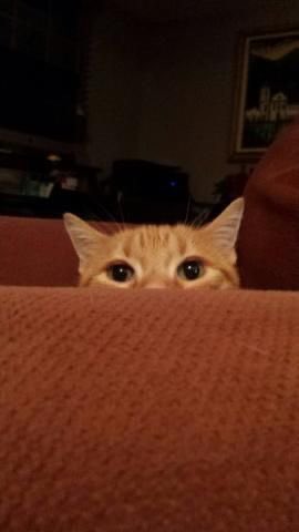 everslay⸆⸉ ♡ (@everslay13) on Twitter photo 