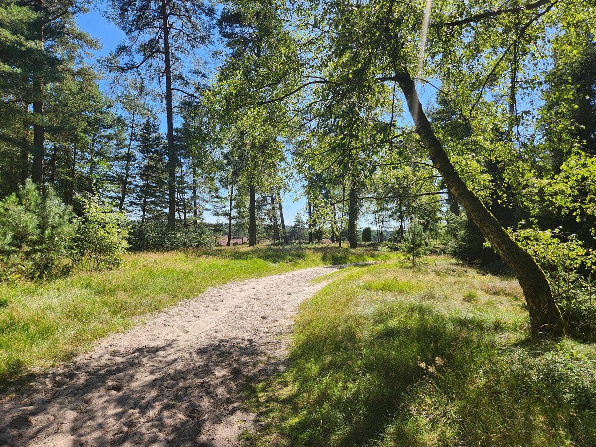 Went out hiking today ❤️