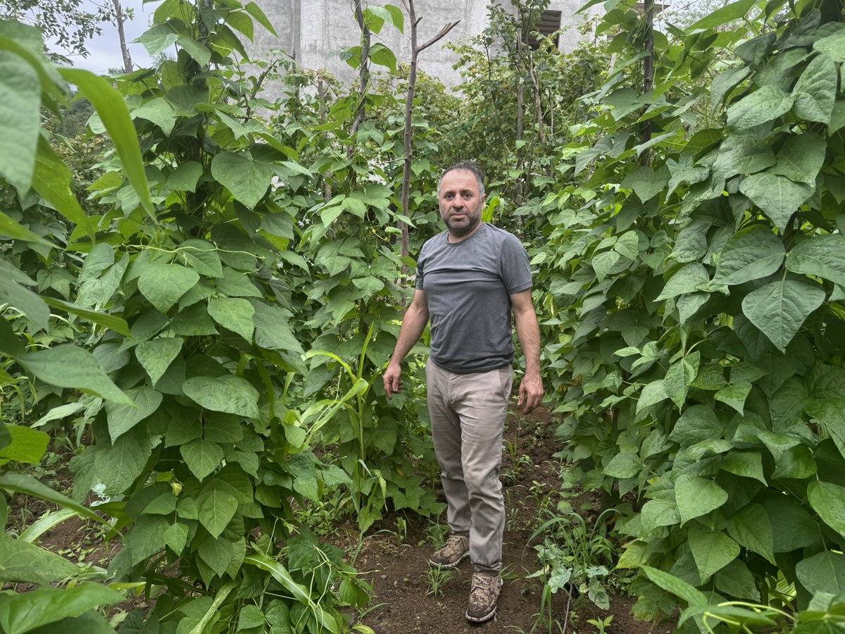 Tarım zehri üreten ve ithal eden tüm firmaların ruhsatları iptal edilsin, tarım zehri kesin olarak ülkede yasaklansın, iddia ediyorum ilk kış sonrası ülkedeki tarım zararlıları %80 oranda azalacak