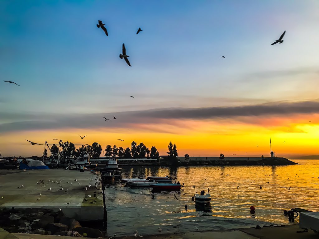 Akçaabat Liman #Foto61