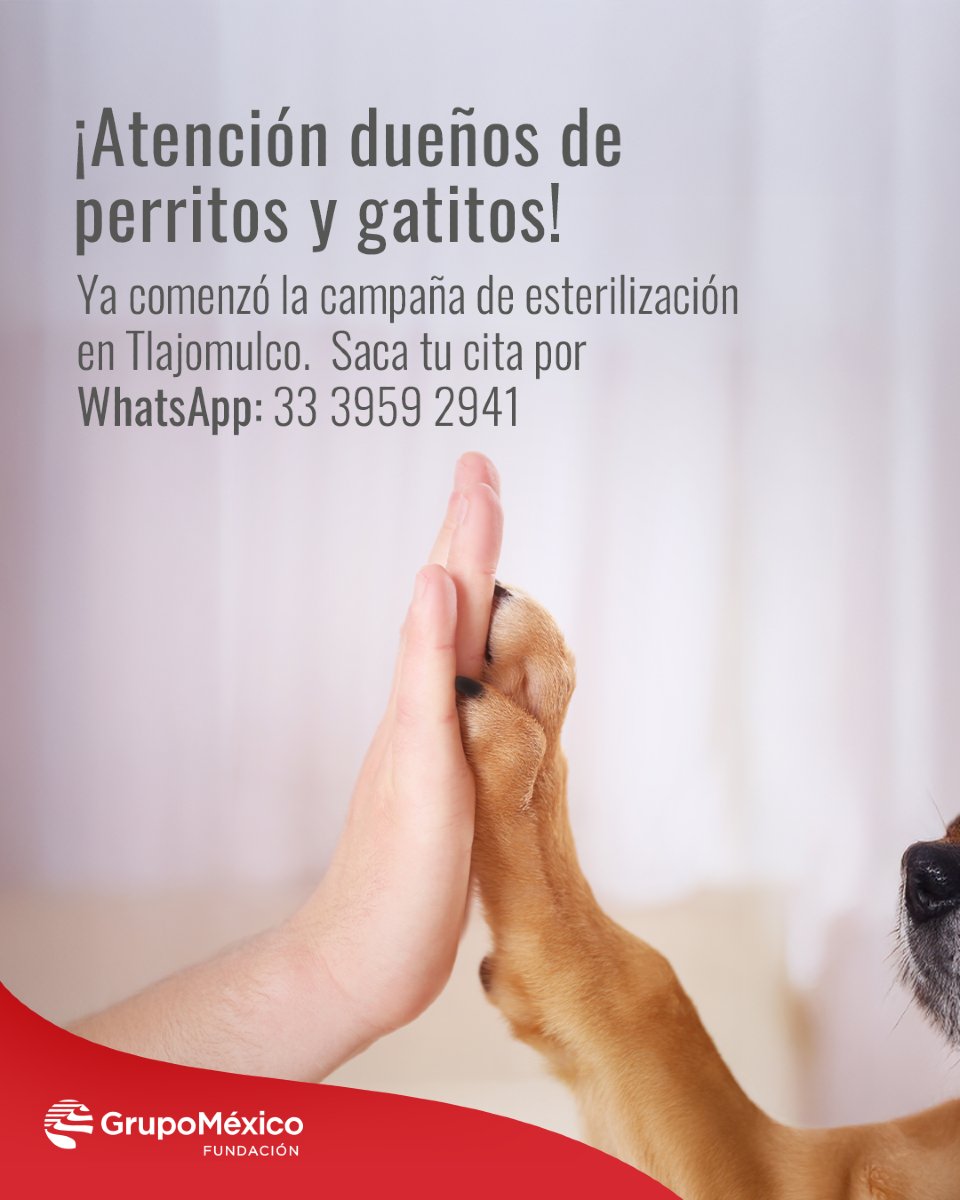 Las siguientes rutas para la esterilización en el #TrenDeLaSalud son: 

- Nogales, Sonora Del 6 al 10 de octubre
- Puerto Peñasco, Sonora Del 13 al 17 de octubre

#FGM2025 #FundaciónGrupoMéxico #DrVagón