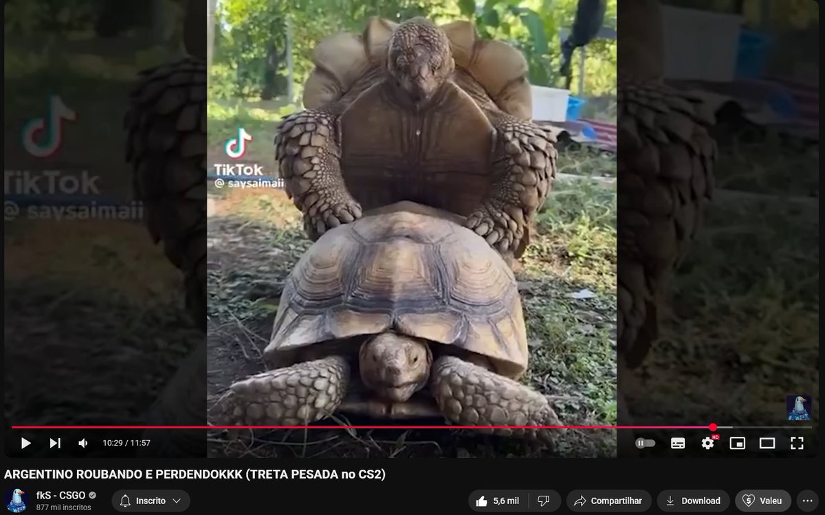 maiazinfps's tweet image. frames inacreditaveis que só vídeo do @fkscsgo pra proporcionar msm
kkkkkkkkkkkkkkkkkkkkkkkkkkkkkkkkkkkkkkkkkkkkkkkkkkkkkkkkkkkkkkkkkkkkkkkkkkk vtnc