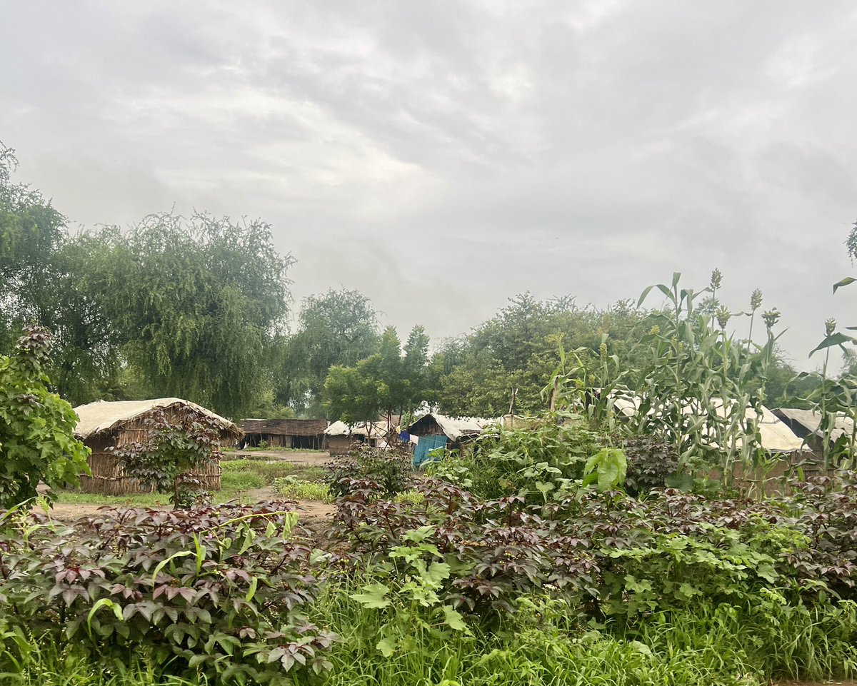 Belinda Goldsmith tweet media