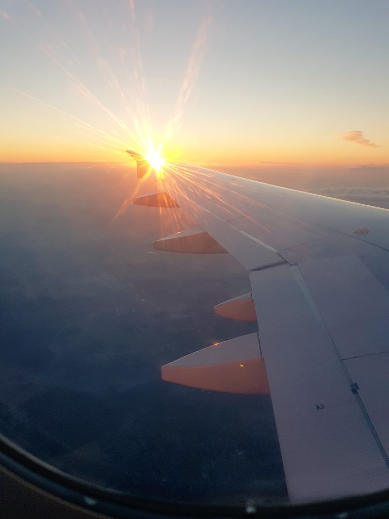 #WorldPhotographyDay2025