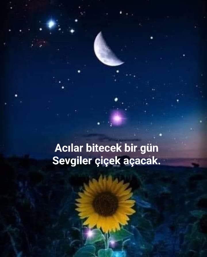 Sedat Arslan (@sedatar37734319) on Twitter photo 