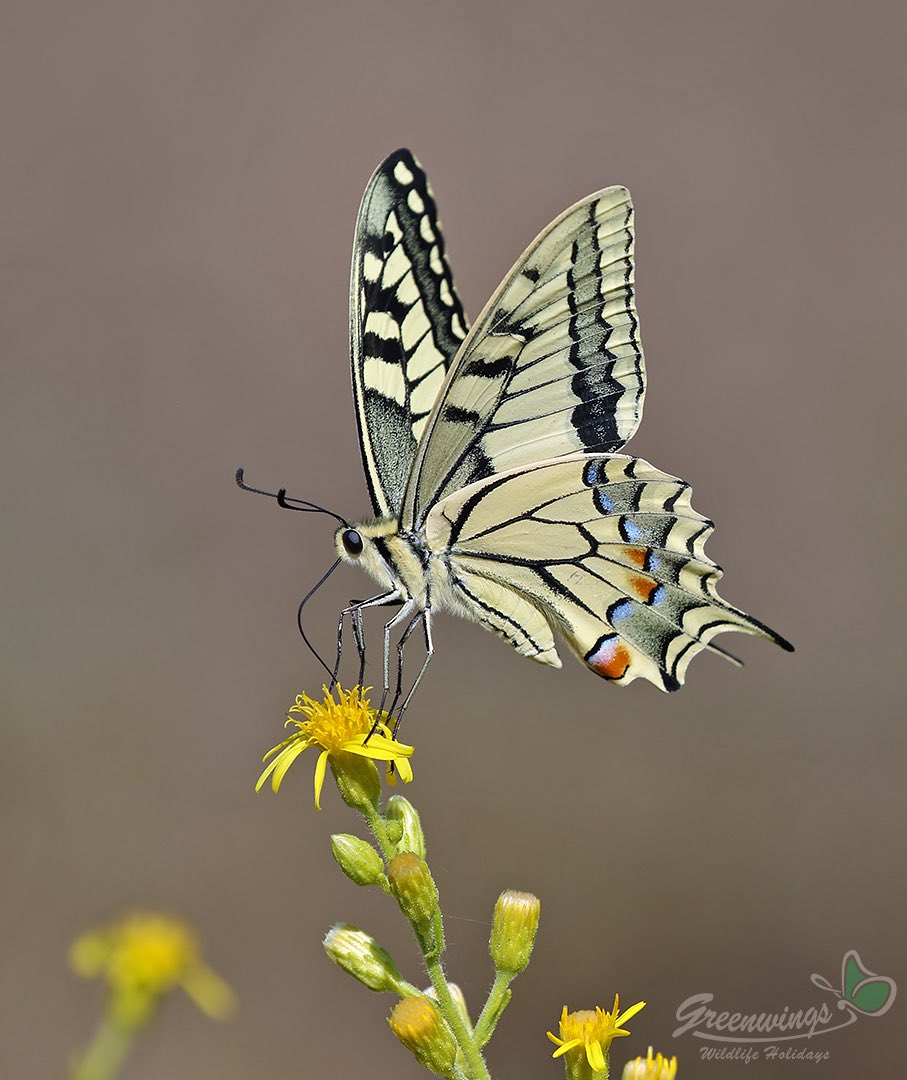 One for #WorldPhotographyDay