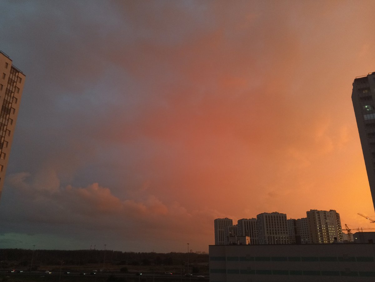 Тапанейро Дизлакуки tweet media